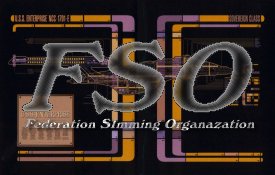 The Federation Sim Organization